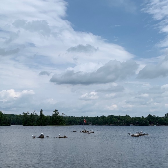 Meet your Posher, Skylar - Picture 1 of 1